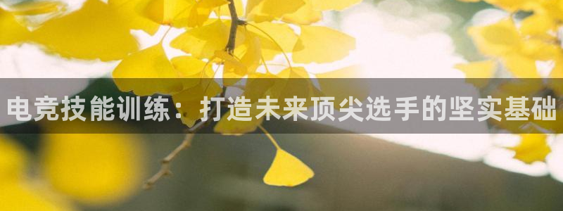 南宫电竞电竞竞猜app下载