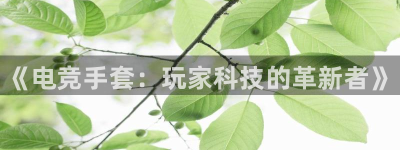 南宫电竞电竞官网网站入口
