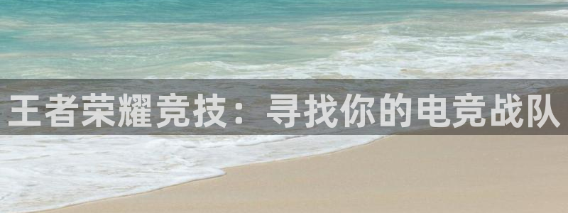 南宫电竞电竞app官方下载：王者荣耀竞技