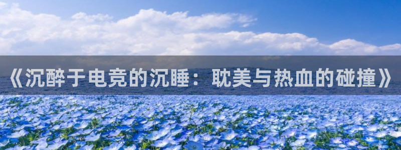 南宫电竞电竞平台登录入口：《沉醉于电竞的