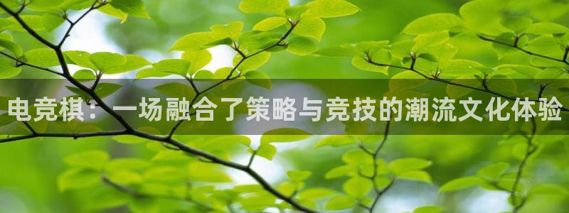 南宫电竞电竞怎么样：电竞棋：一场融合了策