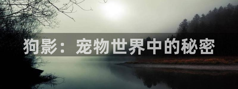 丝瓜视频下裁