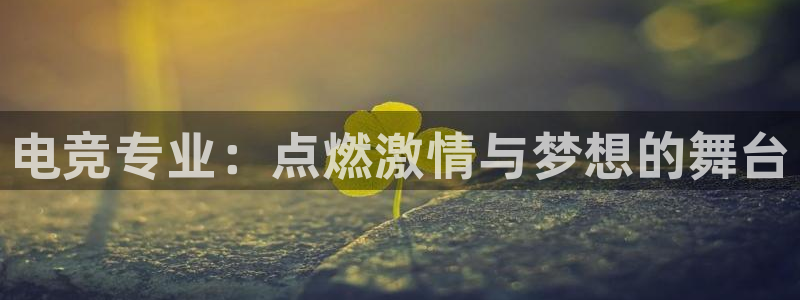 南宫电竞电竞平台官网：电竞专业：点燃激情