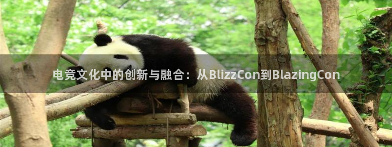 /南宫电竞电竞上yb33丶me：电竞文化