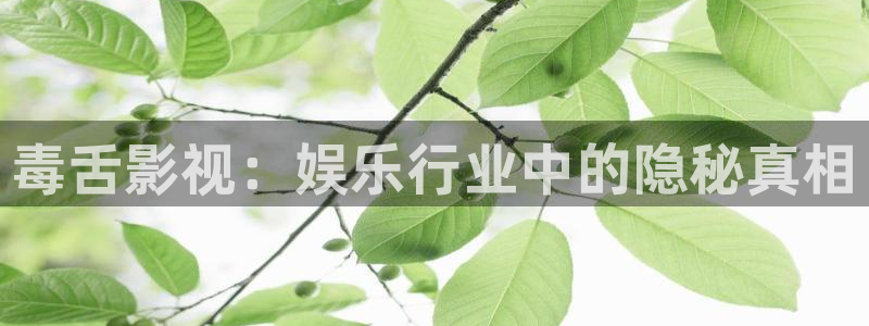 丝瓜,视频在线：毒舌影视：娱乐行业中的隐秘真相